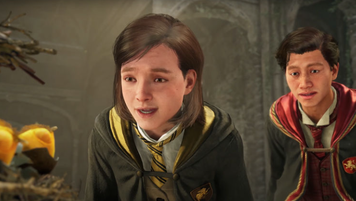 What should we expect from Hogwarts Legacy?
