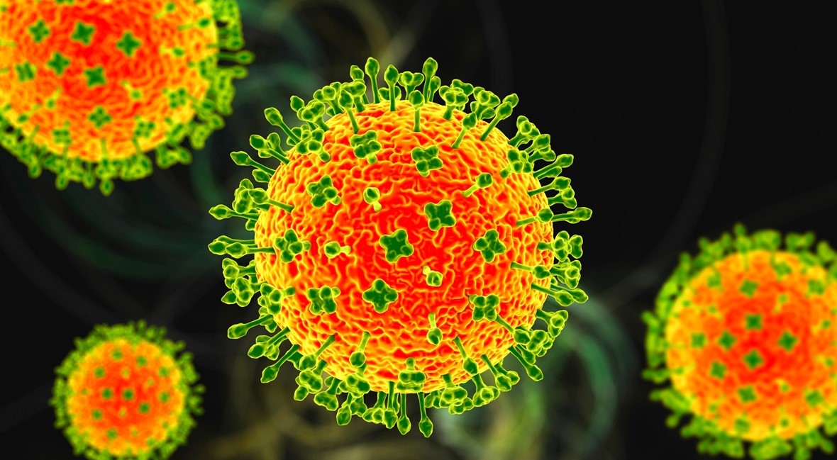 A New Type of Virus Discovered in China: What is Langya Virus?