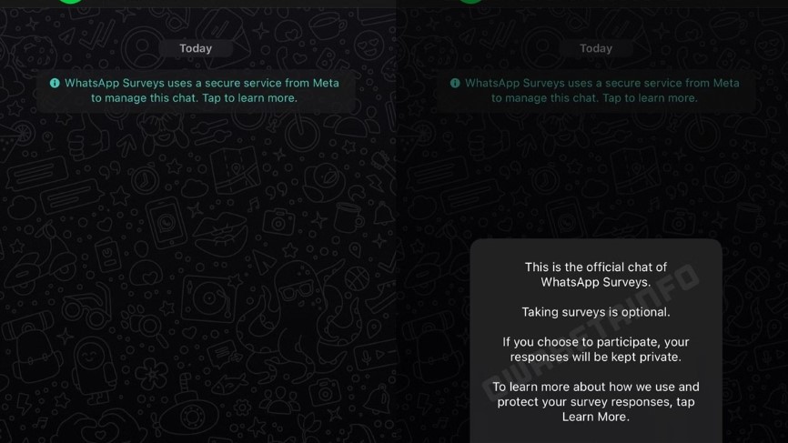 WhatsApp's Conversational Surveys Feature on the Way